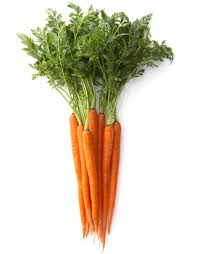 http://t1.gstatic.com/images?q=tbn:ANd9GcT_wrMMhHqF_bv7ONjdGXvU2nk_IJ5_KcbFSgsG6z1oMK284-r9cg