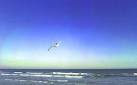 Point Pleasant Beach NJ Beach Guide at the Jersey Shore