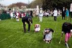 White House Easter Egg Roll