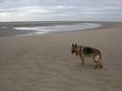 area the far beach is the only taste of the wild you can hope for. - via Daymix