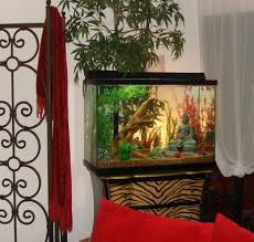 Feng Shui Money Corner – How to Corner Your Wealth and Keep it There!