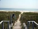 MetroPlus: FIRE ISLAND 2
