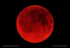 Lunar Eclipse Photo Gallery 2