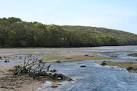 Yealmpton: Yealm estuary - via Daymix