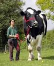 world big animals
