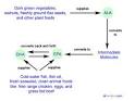 Making Sense of Omega-3 Fatty Acids 