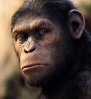 Apes: My pal Rich Handley gets