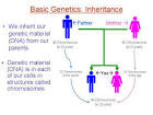  Inheritance of Danon Disease