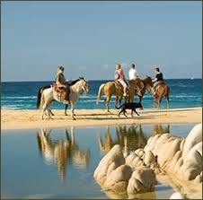 Florida beach riding