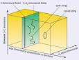 brane