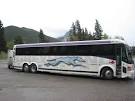 Greyhound Buses Arriving in Britain
