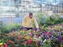 Horticulture, Plant &amp; Soil Science | Academic Programs