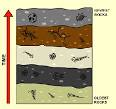 strata.gif