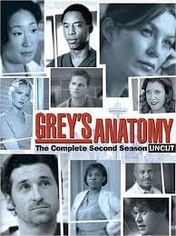 2° Temporada – Grey´s Anatomy Dublado HDTV AVI