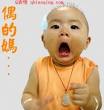 是沒有蜂鳥的！