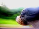 http://media.smashingmagazine.com/images/motion-blur/379111290_9c3a80cded.jpg