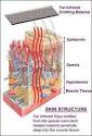 Far-Infrared Therapy « Laser Hair Removal Miami, LLC.: Our Skin ...