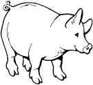 Pig coloring page