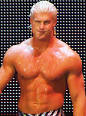 Dolph Ziggler - Wikipedia, the free encyclopedia