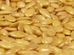 File:Flax seeds.jpg - Wikipedia, the free encyclopedia