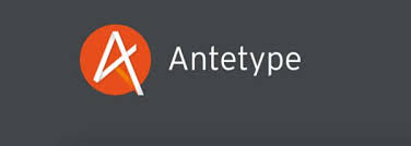 Image result for antetype
