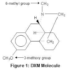4.2 What is Dextromethorphan Hydrobromide (DXM)?