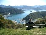 http://www.essonsvalley.com/view%2520from%2520tirahanga%25201.JPG