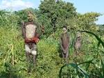 Surma