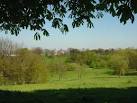 TQ3977 : Greenwich Park - via Daymix
