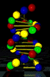 Basics of DNA Fingerprinting