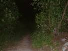 Singapore Paranormal Investigators