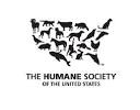 Pierce Brosnan issues license to save the whales - Wilmington ...