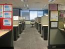 New Transactel call center in El Salvador   CentralAmericaData