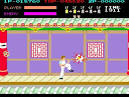 Kung Fu Master Arcade
