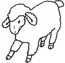 Image result for sheep coloring page