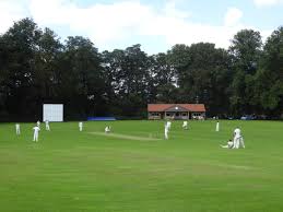 Image result for Wykeham Cricket Club