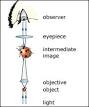 Galileo's microscope - How it works