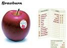 Braeburn :: Washington State Apple Commission
