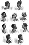 File:Aborigines of Victoria - Fig 252 - Natives of King George's ...