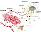 Non-profit ALS group readying Phase 2 trial | BioTuesdays