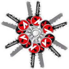 [Picture of Siamese algae 
eater]