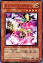 ミラージュ・ドラゴン