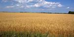  North Dakota Farms, Land and Ranches For Sale