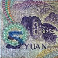 yuan