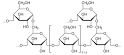 Glycogen - Wikipedia, the free encyclopedia
