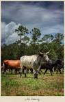 Ken Kaminesky Travel Photography Blog » Travel Photography from ...