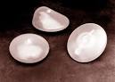 cup sizes Discussed by Women Like You      Zelda Lily Feminism in a Bra