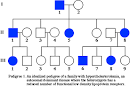 <b>Pedigree</b> 1