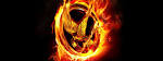 The HUNGER GAMES Review - IGN