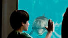 Dolphin Tale  Film Review   The Hollywood Reporter